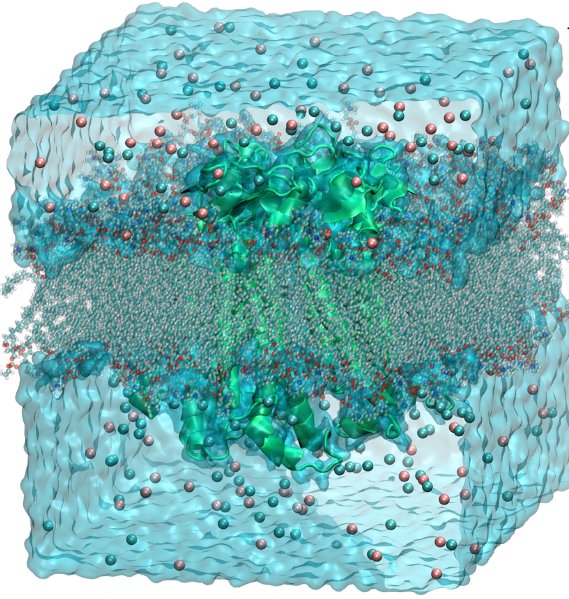 box of molecules and ions obtained by dynamic simulation