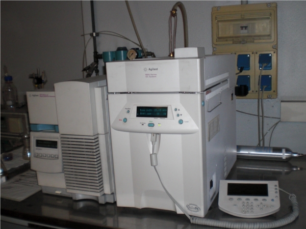 GC/MS system