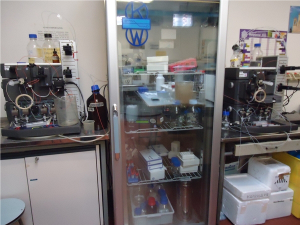 protein purification system