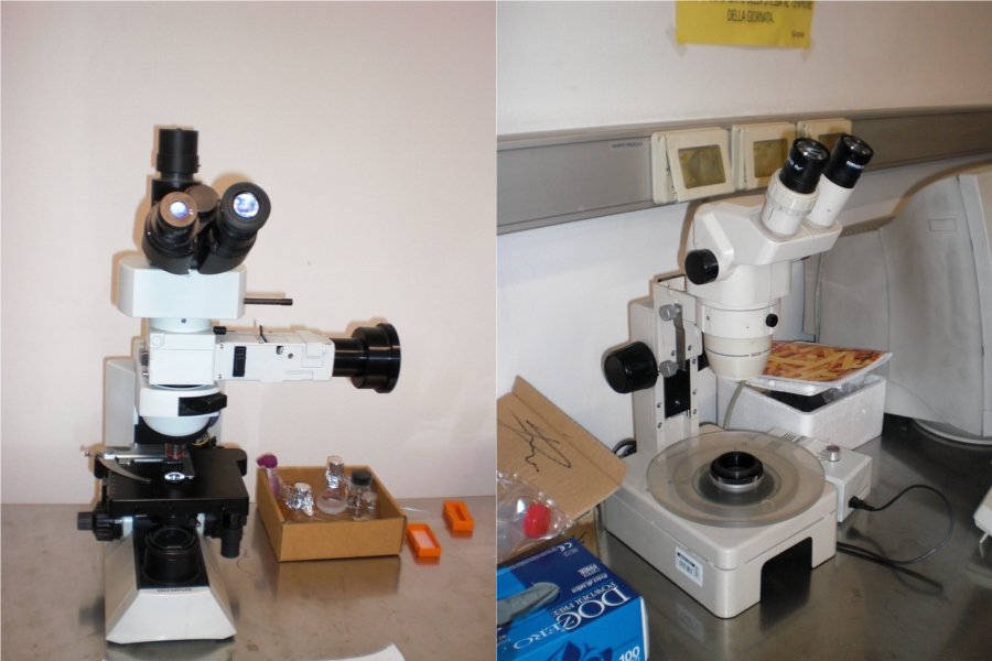 two optical microscopes