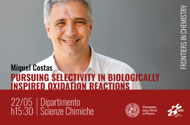 Collegamento a Frontiers in Chemistry